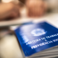 Santa Catarina reduz desemprego e lidera ranking nacional em 2026