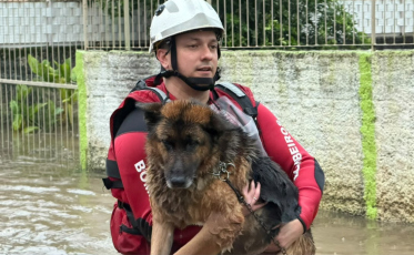 Chuva em SC: temporal alaga ruas, suspende aulas e afeta serviços; acompanhe em tempo real