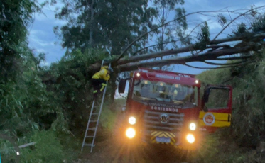 Granizo e ventos fortes causam estragos em diferentes regiões de SC