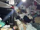 Casa com lixo acumulado até o teto passa por intervenção em Criciúma