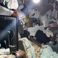 Casa com lixo acumulado até o teto passa por intervenção em Criciúma