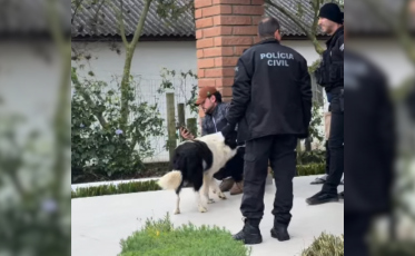 Influenciador do agro é autuado após polícia apreender 329 munições em SC