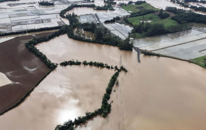 Chuva deixa prejuízo de R$ 36,8 milhões no campo e atinge 6 mil hectares de arroz em Turvo