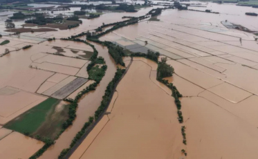 Chuvas causam prejuízo de mais de R$ 60 milhões ao agronegócio em região de SC