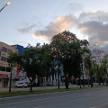 Frio e neblina nas primeiras horas dão lugar ao sol neste sábado em SC