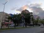 Frio e neblina nas primeiras horas dão lugar ao sol neste sábado em SC