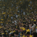 Criciúma divulga números de público e destaca torcida na Série B