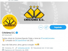 Tigre é o terceiro clube catarinense mais popular nas redes