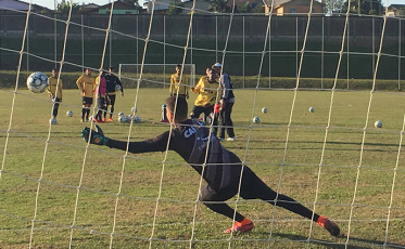 Criciúma encara o CSA para deixar a 