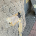 Prefeitura de Criciúma anuncia Cata-Treco e triturador para dar fim a entulhos