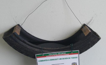 Dengue: com recorde em SC, Criciúma está em alerta