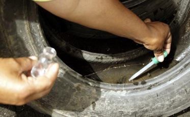 Combate à dengue reforçado em Urussanga