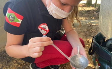 Saiba quais cidades do Sul são consideradas infestadas pelo Aedes aegypti 