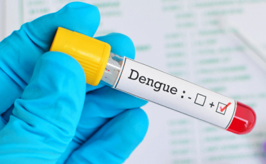 Com o maior número de mortes por dengue da história, doença preocupa Criciúma