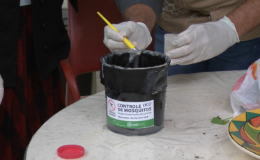 Dengue em SC: Cuidados de prevenção devem ser mantidos mesmo com temperaturas baixas