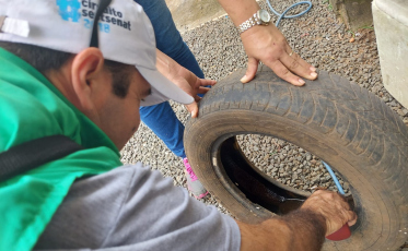 Içara confirma mais dois casos de dengue