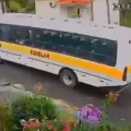 Atropelamento de cachorro por ônibus escolar gera afastamento de motorista em Urussanga