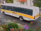 Atropelamento de cachorro por ônibus escolar gera afastamento de motorista em Urussanga