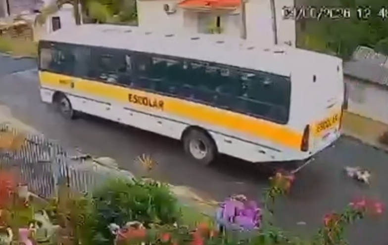 Atropelamento de cachorro por ônibus escolar gera afastamento de motorista em Urussanga