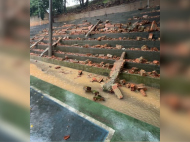 Fotos: Divulgação/Coordenadoria Regional de Tubarão