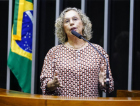 Deputada catarinense apresenta projeto que institui Observatório da Violência Contra a Mulher