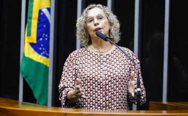 Deputada catarinense apresenta projeto que institui Observatório da Violência Contra a Mulher