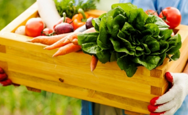 Procon Criciúma realizará fiscalização de produtos orgânicos em supermercados