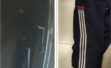 Arroio do Silva: Irmãos são presos suspeitos de liderarem organização criminosa especializada em furtos