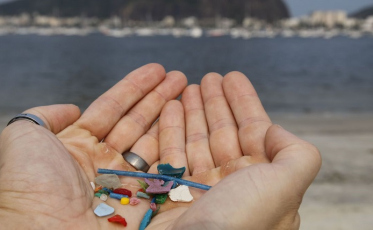 Pesquisas indicam ingestão de microplásticos por humanos