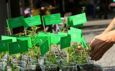 Dia Mundial do Meio Ambiente com atividades na Praça Nereu Ramos