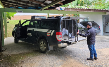 Homem suspeito de lucrar R$ 220 mil com golpes é preso em Criciúma