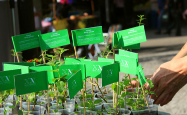 Nova Acrópole oferece diversas atividades na Semana do Meio Ambiente