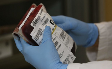 Doação de sangue cai pela metade em Criciúma