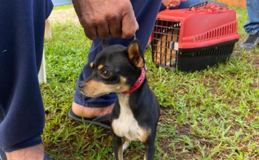 Içara: Residencial Dona Ema recebe BusCão nesta sexta-feira
