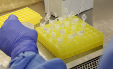 Covid-19: Brasil com 2,7 mil mortes e mais de 43 mil casos