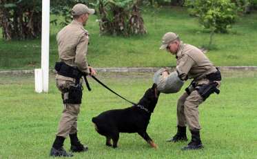 O Canil da PM de Criciúma já é referência estadual