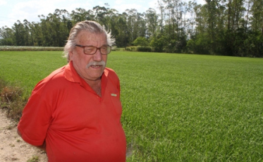 Agricultores esperançosos com a safra