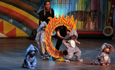 Picadeiro da alegria e do conhecimento