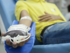 Quatorze em cada mil brasileiros são doadores regulares de sangue