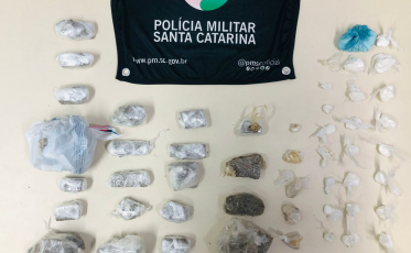 Cadelas do K9 auxiliam na apreensão de drogas em Criciúma