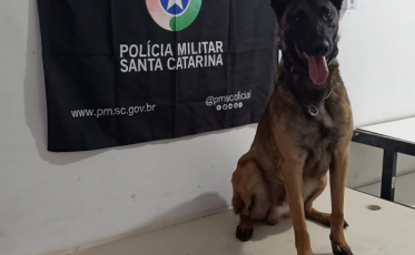 Com auxílio do cão policial, PM apreende drogas em Criciúma