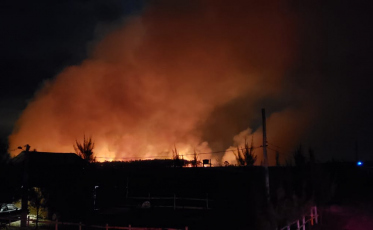 Bombeiros combatem incêndio em mata em Arroio do Silva