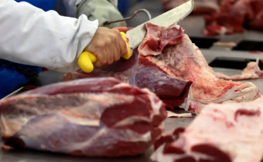 Europa barra carne brasileira e impõe restrição a mel, peixes e tripas