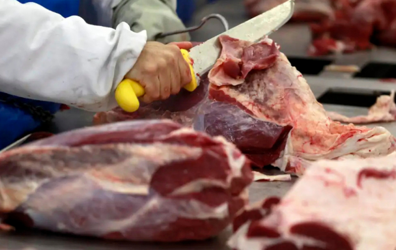 Europa barra carne brasileira e impõe restrição a mel, peixes e tripas