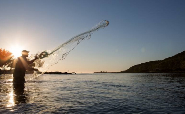 Camarão Laguna poderá receber selo de Indicação Geográfica