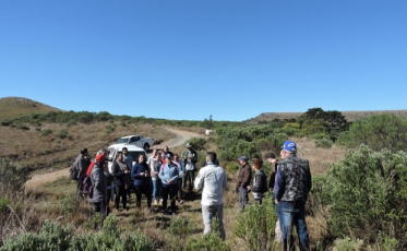 Editais garantem recursos para pesquisas sobre o ecossistema brasileiro 