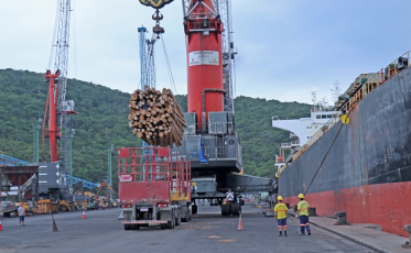 Porto de Imbituba realiza maior embarque de madeiras do país