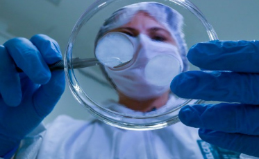 Startup catarinense vai produzir tecido pulmonar in vitro para testes de Covid-19