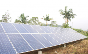 Dia do Agricultor: Produtores rurais de Morro da Fumaça apostam na inovação no campo