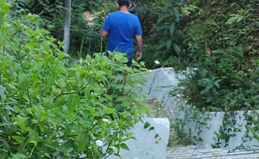 Mato e mau cheiro na escadaria da Santo Antônio